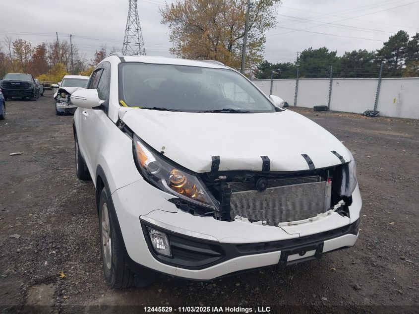 2016 Kia Sportage Lx VIN: KNDPB3AC7G7820757 Lot: 12445529