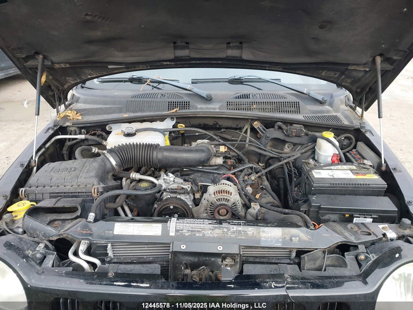 1J4GL58K14W237120 2004 JEEP LIBERTY (NORTH AMERICA) photo no. 10