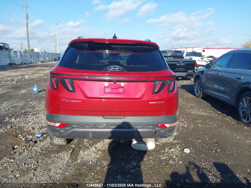 2022 Hyundai Tucson Luxury VIN: KM8JCCA17NU044867 Lot: 12445657