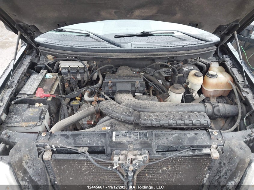 1FTPW14V68FC33544 2008 FORD F-150 photo no. 10