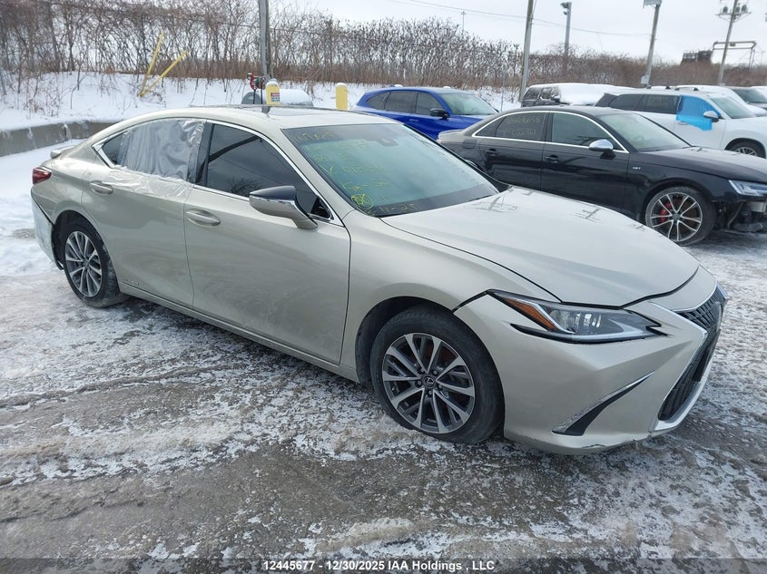 2022 Lexus ES 300h