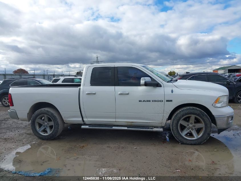 2012 Ram 1500 Slt VIN: 1C6RD7GT8CS249988 Lot: 12445830