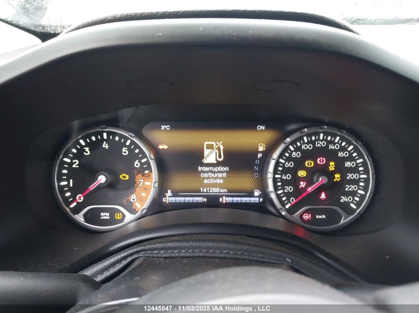 2016 Jeep Renegade Trailhawk VIN: ZACCJBCT4GPE24846 Lot: 12445847