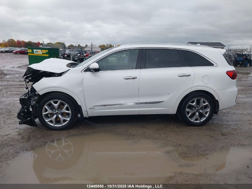 2020 Kia Sorento 3.3L Sx VIN: 5XYPKDA55LG653920 Lot: 12445850