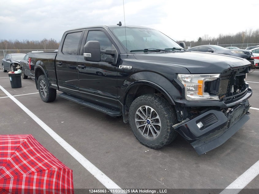 1FTFW1E5XLFC49796 2020 Ford F-150 Xlt auction photo 1