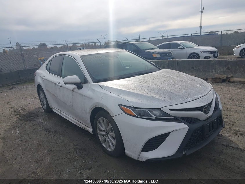TOYOTA CAMRY L/LE/XLE/SE/XSE