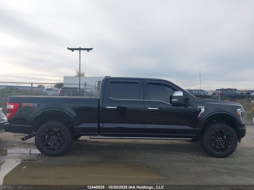 1FTFW1E58PFB68981 2023 FORD F-150 photo no. 12
