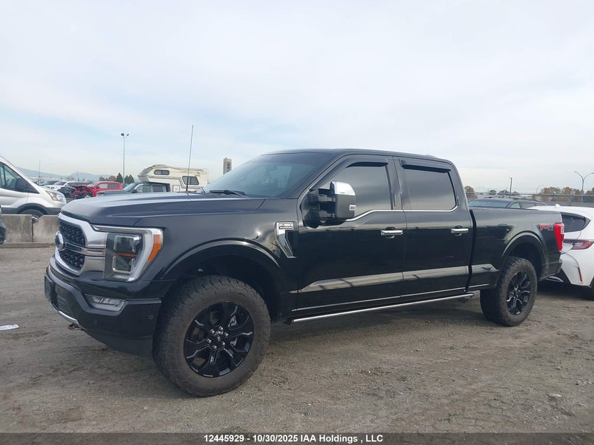 1FTFW1E58PFB68981 2023 FORD F-150 photo no. 13