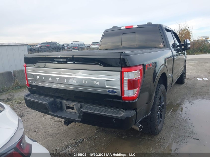 1FTFW1E58PFB68981 2023 FORD F-150 photo no. 15