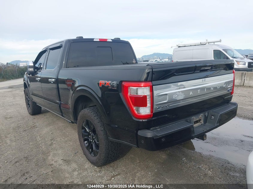 1FTFW1E58PFB68981 2023 FORD F-150 photo no. 3