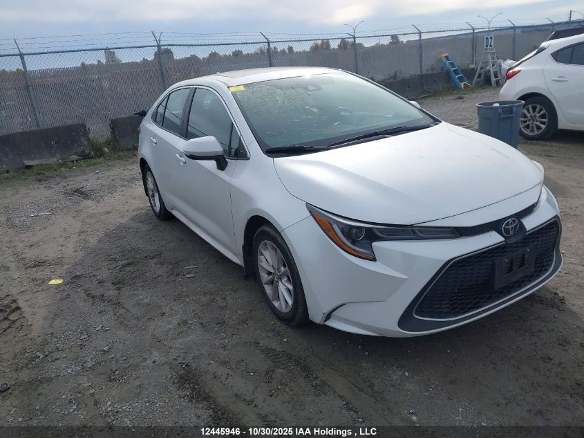 TOYOTA COROLLA LE/XLE