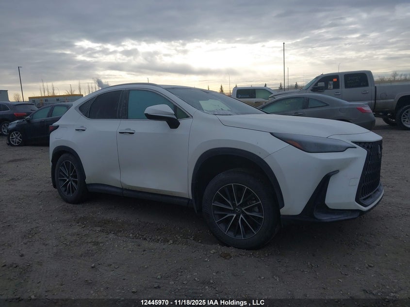 2024 Lexus Nx 450H+ VIN: JTJHKCFZ0R2041036 Lot: 12445970