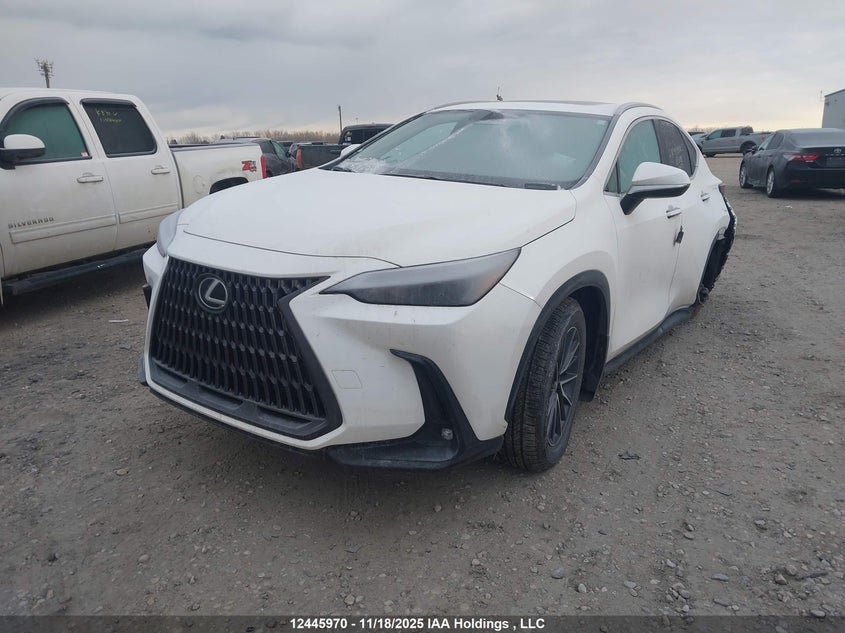 JTJHKCFZ0R2041036 2024 LEXUS NX photo no. 2