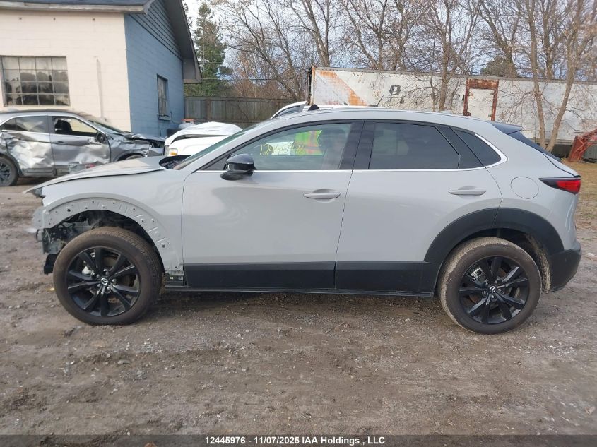 2025 Mazda Cx-30 VIN: 3MVDMBDM5SM828123 Lot: 12445976