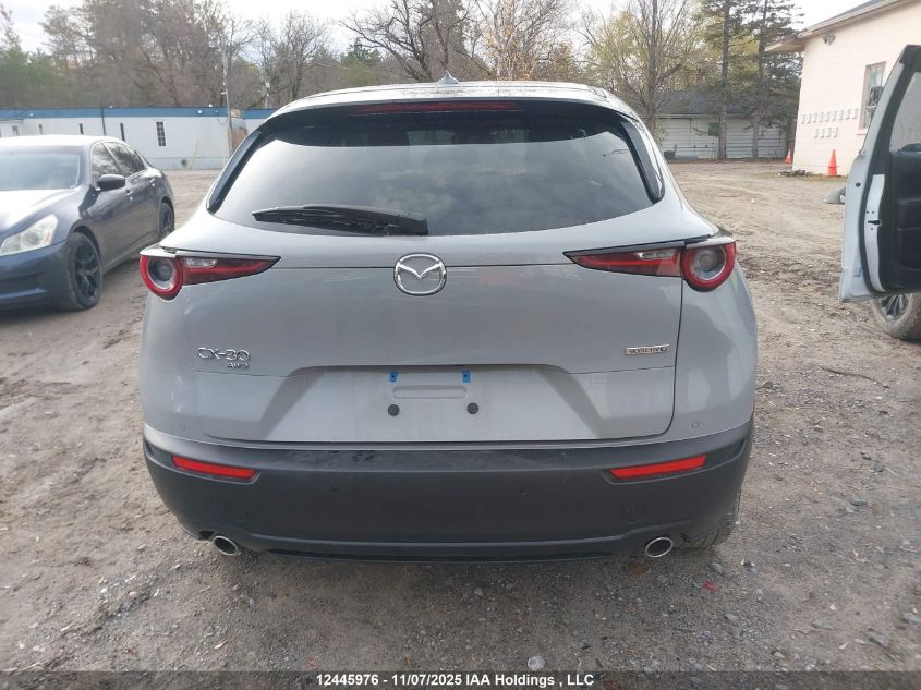 2025 Mazda Cx-30 VIN: 3MVDMBDM5SM828123 Lot: 12445976