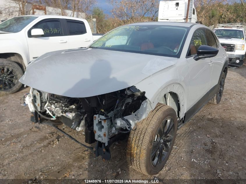 2025 Mazda Cx-30 VIN: 3MVDMBDM5SM828123 Lot: 12445976