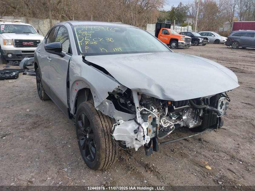 2025 Mazda Cx-30 VIN: 3MVDMBDM5SM828123 Lot: 12445976