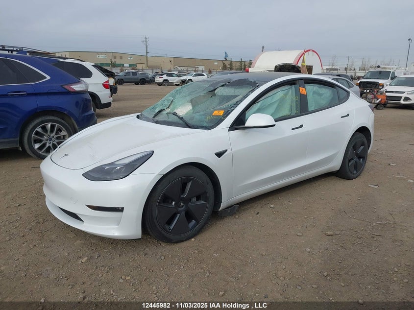 LRW3E1EB8PC872656 2023 TESLA MODEL 3 photo no. 2