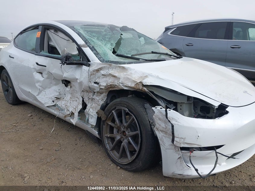 LRW3E1EB8PC872656 2023 TESLA MODEL 3 photo no. 6