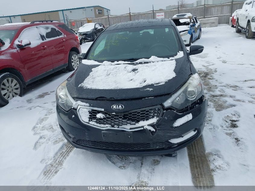 2015 Kia Forte 2.0L Lx+ VIN: KNAFK5A85F5309445 Lot: 12446124