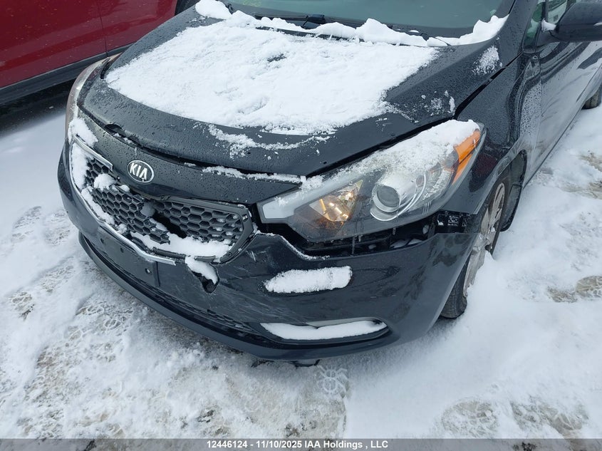 2015 Kia Forte 2.0L Lx+ VIN: KNAFK5A85F5309445 Lot: 12446124