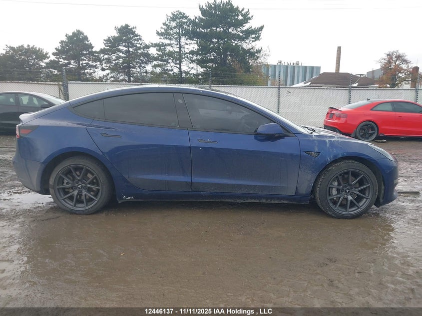 2023 Tesla Model 3 Long Range VIN: 5YJ3E1EB7PF690985 Lot: 12446137