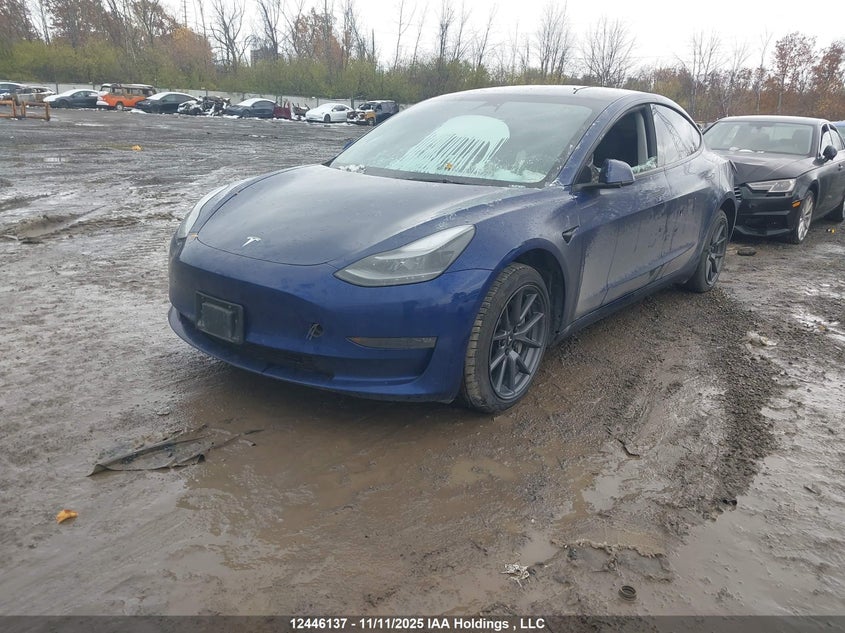 5YJ3E1EB7PF690985 2023 TESLA MODEL 3 photo no. 2