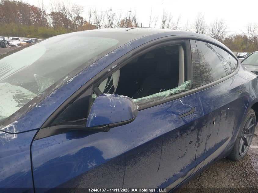 2023 Tesla Model 3 Long Range VIN: 5YJ3E1EB7PF690985 Lot: 12446137