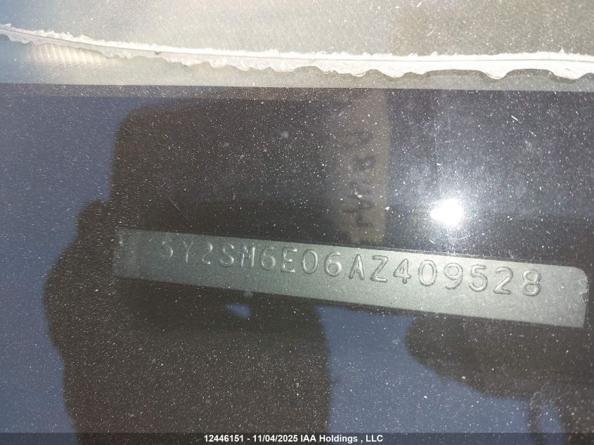 2010 Pontiac Vibe VIN: 5Y2SM6E06AZ409528 Lot: 12446151