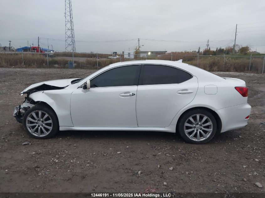 2008 Lexus Is 250 VIN: JTHCK262982020385 Lot: 12446191