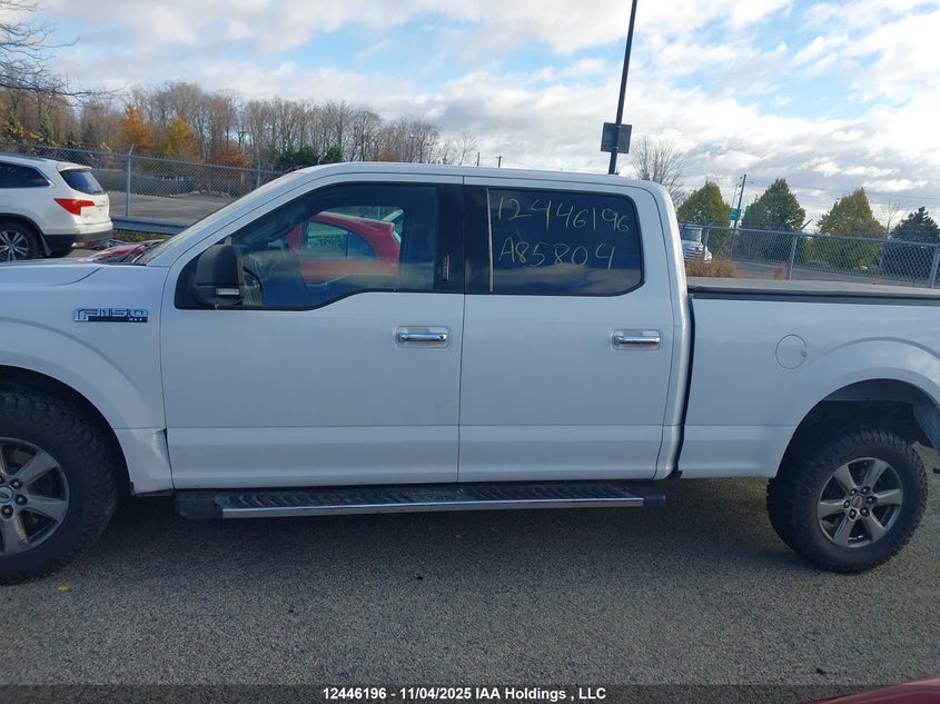 1FTFW1E56LFA85804 2020 FORD F-150 photo no. 14