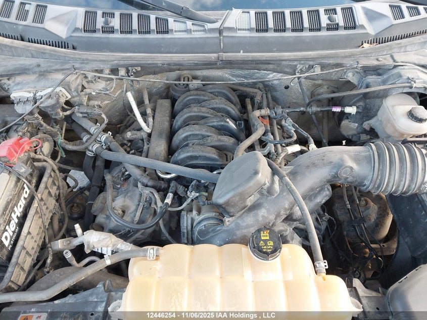 1FTFW1EF8GFD06284 2016 FORD F-150 photo no. 10
