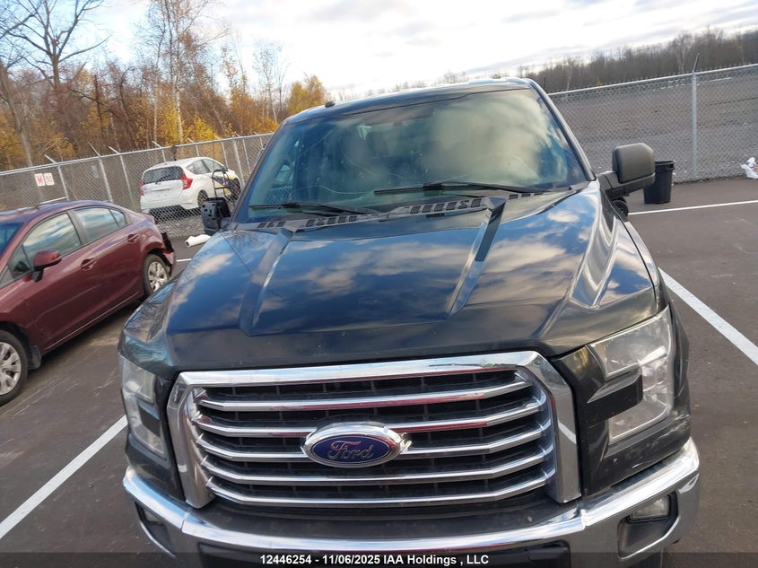 1FTFW1EF8GFD06284 2016 FORD F-150 photo no. 13