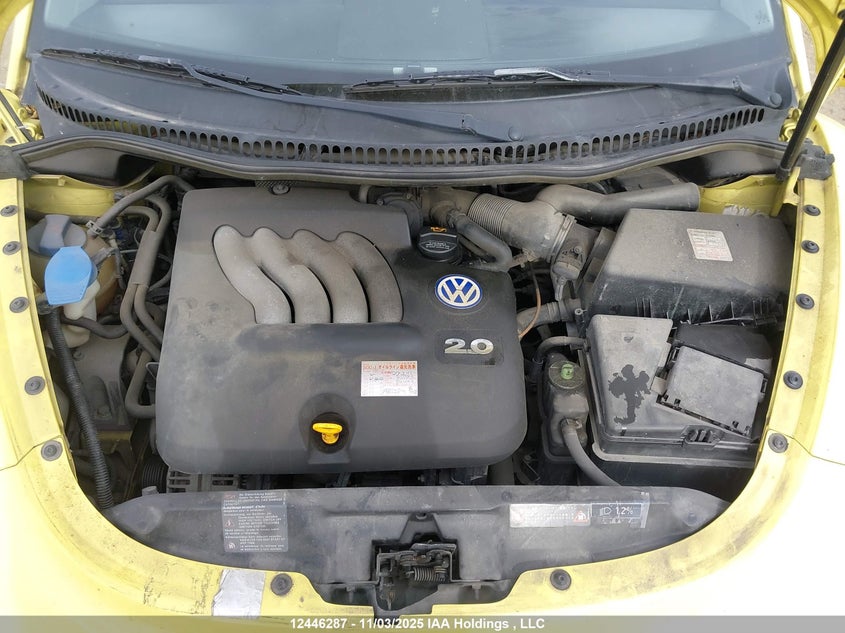 WVWZZZ9CZ2M601458 2002 VOLKSWAGEN BEETLE photo no. 10