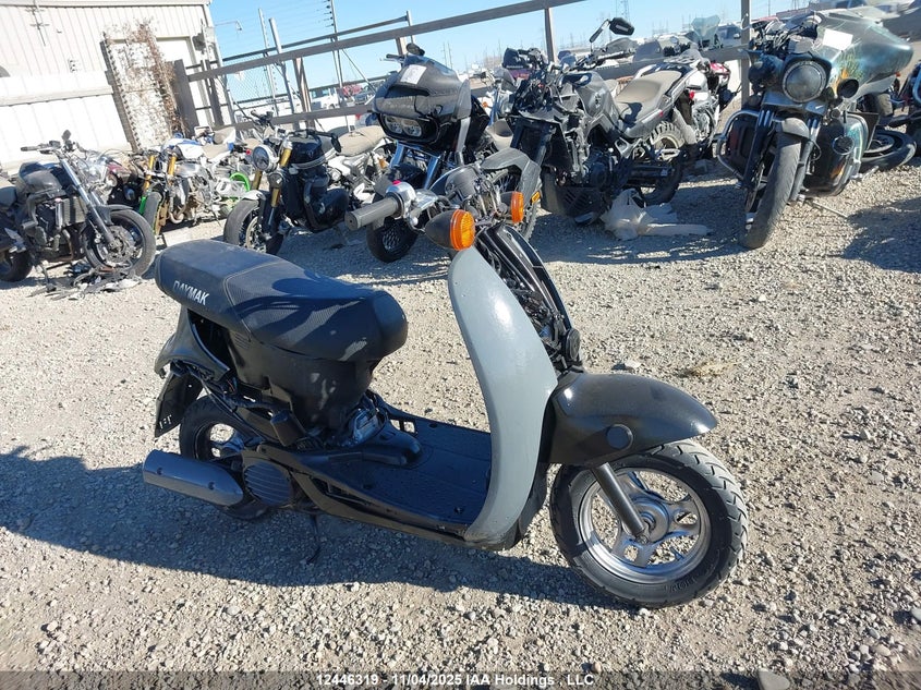 JH2AF60589K500384 2009 Honda Chf50 S auction photo 1