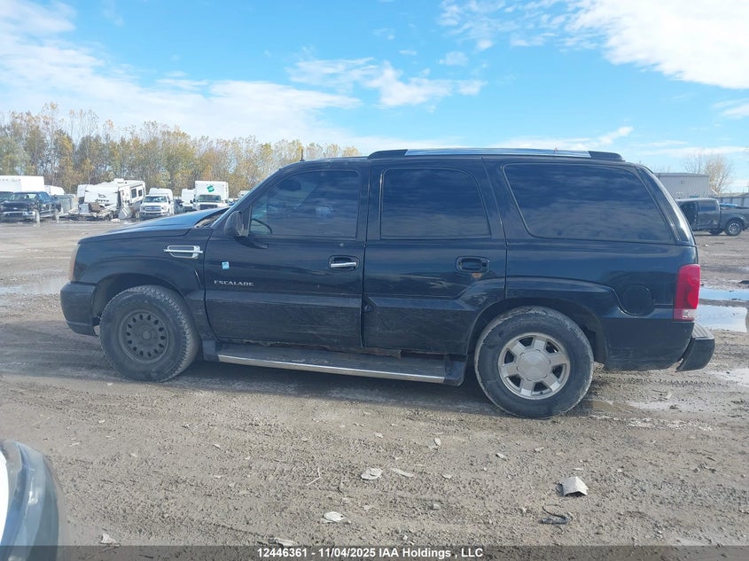 2002 Cadillac Escalade VIN: 1GYEK63N42R230868 Lot: 12446361