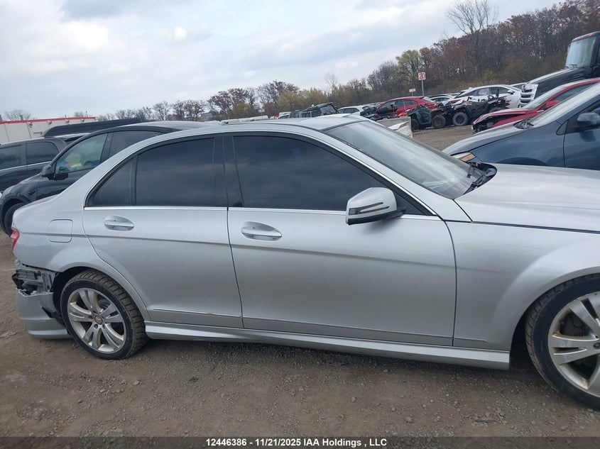 2010 Mercedes-Benz C 300 4Matic VIN: WDDGF8BB4AF488447 Lot: 12446386