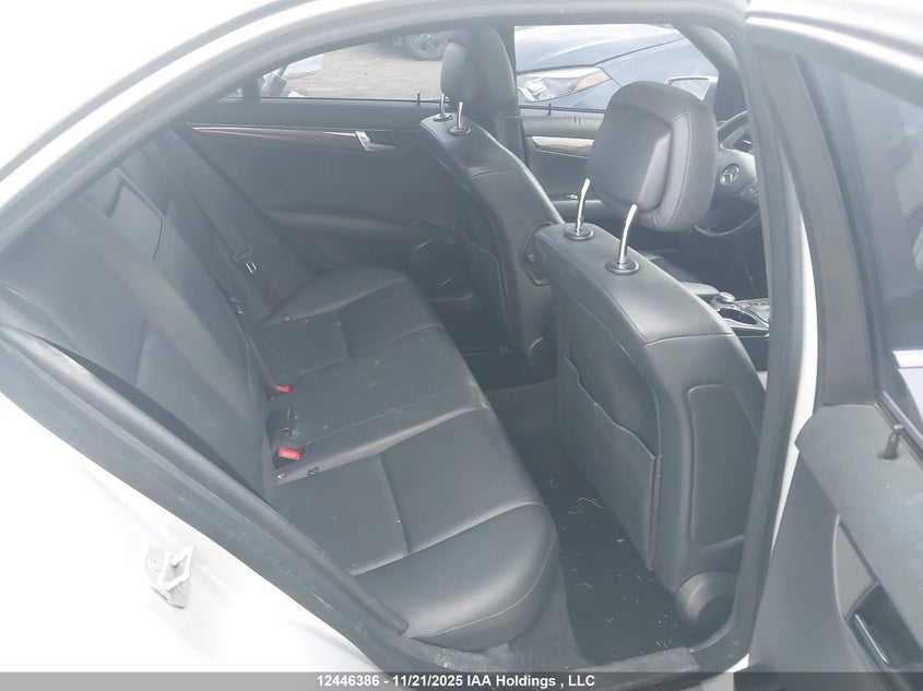 2010 Mercedes-Benz C 300 4Matic VIN: WDDGF8BB4AF488447 Lot: 12446386