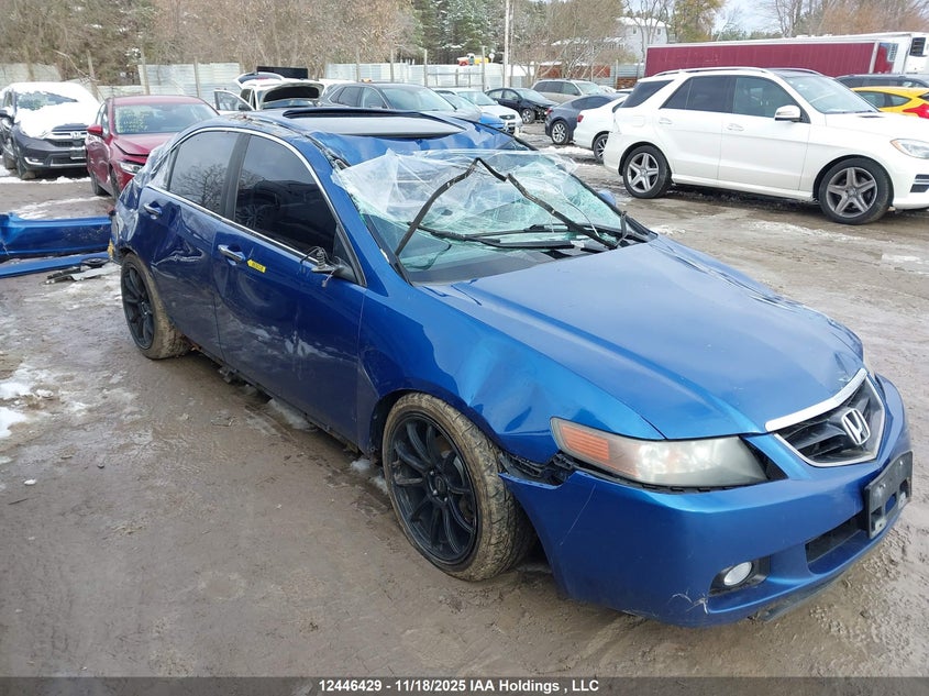 2005 Acura Tsx VIN: JH4CL95805C802933 Lot: 12446429