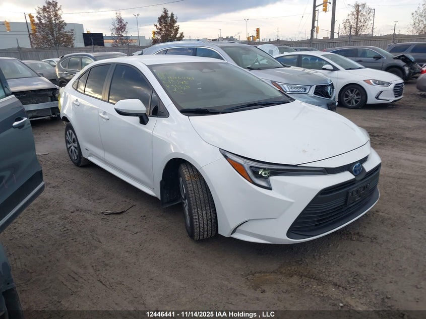JTDBDMHE1R3013145 2024 Toyota Corolla Hybrid auction photo 1
