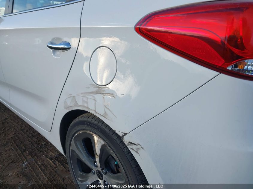 2014 Kia Rondo Ex/Ex Luxury/Se VIN: KNAHU8A39E7041902 Lot: 12446445