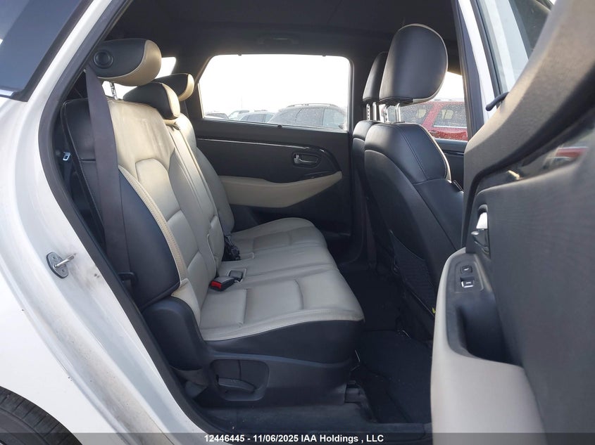 2014 Kia Rondo Ex/Ex Luxury/Se VIN: KNAHU8A39E7041902 Lot: 12446445