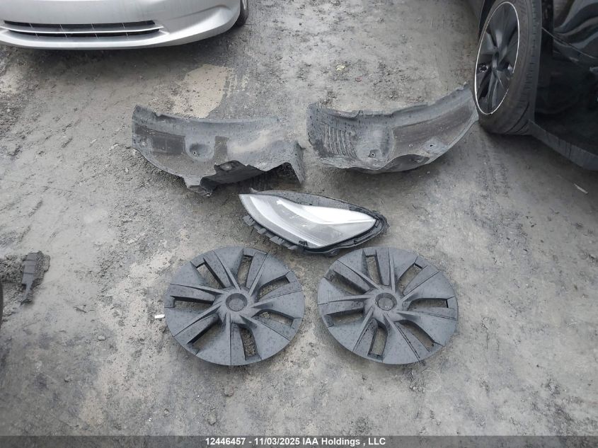 2023 Tesla Model Y VIN: LRWYGDFD0PC966466 Lot: 12446457