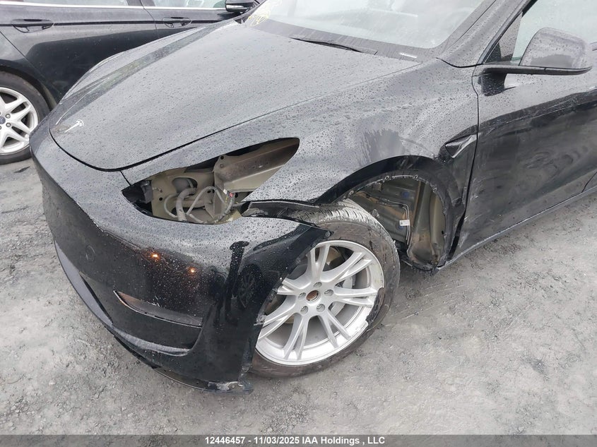 2023 Tesla Model Y VIN: LRWYGDFD0PC966466 Lot: 12446457