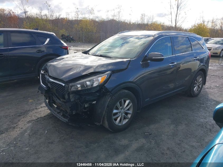 2016 Kia Sorento VIN: 5XYPGDA12GG084559 Lot: 12446458