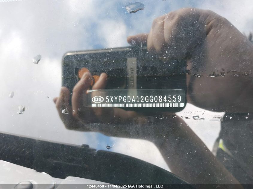 2016 Kia Sorento VIN: 5XYPGDA12GG084559 Lot: 12446458