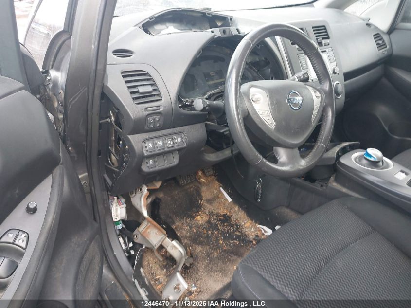 2017 Nissan Leaf S/Sv/Sl VIN: 1N4BZ0CP1HC309029 Lot: 12446470