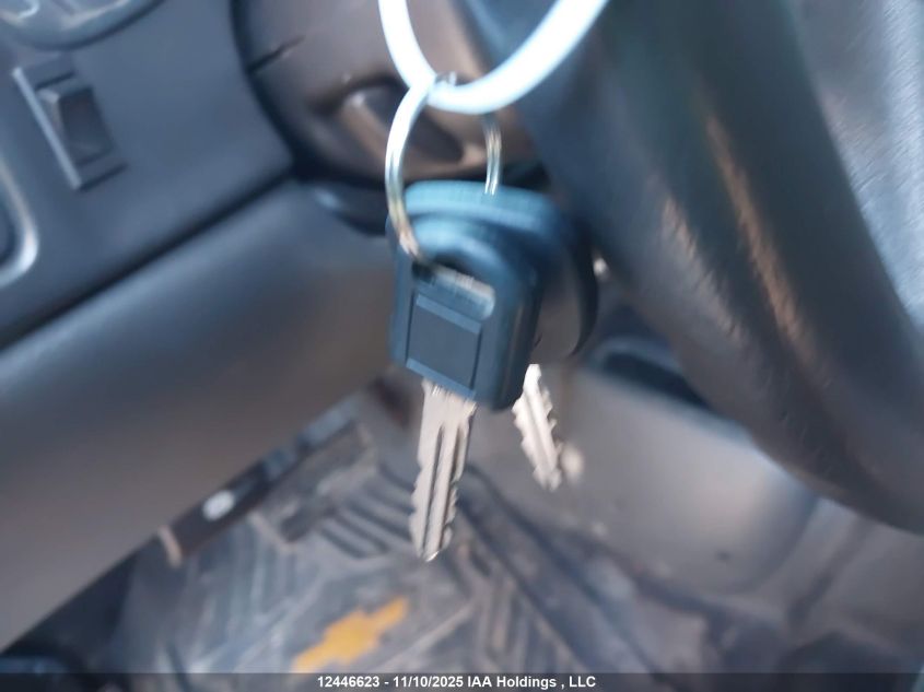 2004 Chevrolet Silverado 1500 Ls VIN: 1GCEK19V84Z325517 Lot: 12446623