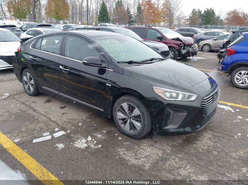 KMHC75LD2KU115274 2019 HYUNDAI IONIQ photo no. 19