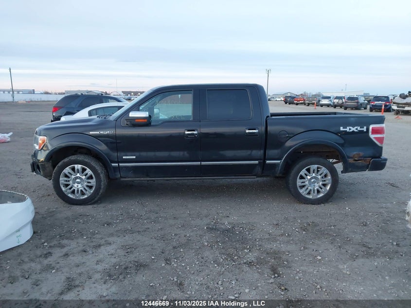 1FTFW1ET7BFB74102 2011 FORD F-150 photo no. 14
